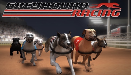 Greyhound Racing